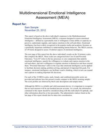Emotional intelligence essay