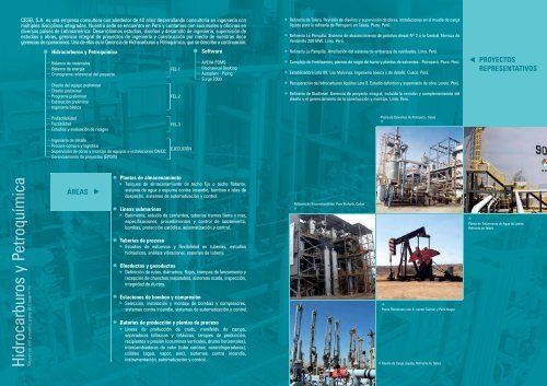 proyectos representativos