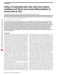 Culture of embryonic-like stem cells from human