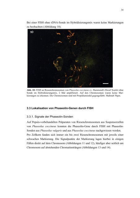 Verbesserte Fluoreszenz-in situ Hybridisierung (FISH ... - Mario Nenno