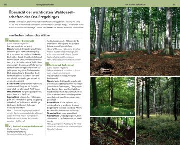 Übersicht der wichtigsten Waldgesell- schaften des Ost-Erzgebirges