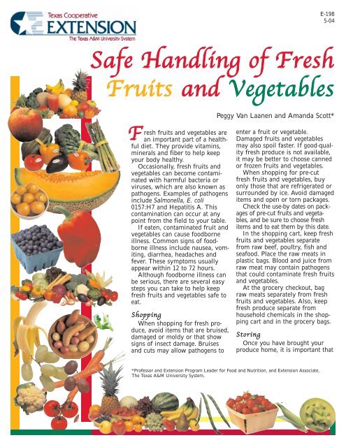 https://img.yumpu.com/8539793/1/500x640/safe-handling-of-fresh-fruits-and-vegetables-uw-food-safety-and-.jpg