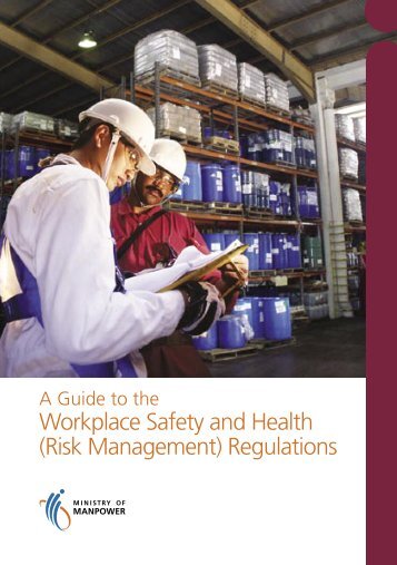 Workplace Safety and Health (Risk Management) - Ministry of ...
