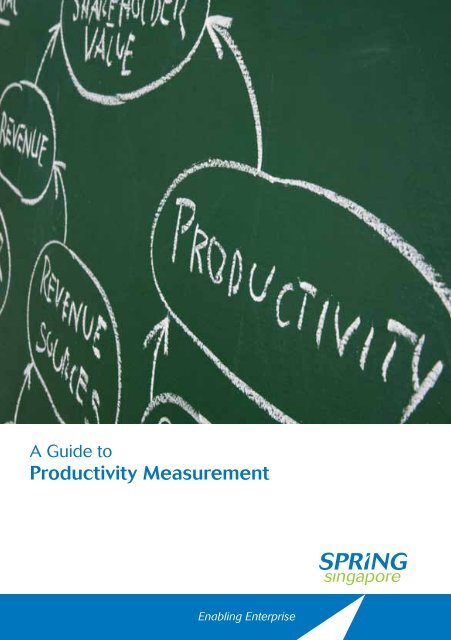 A Guide to Productivity Measurement - Spring