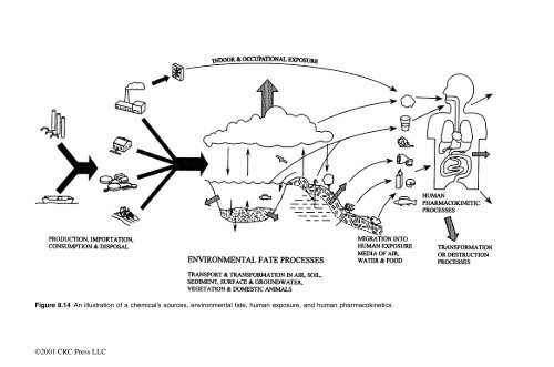 McKay, Donald. "Front matter" Multimedia Environmental Models ...