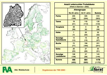 Waldzustandsbericht 2003