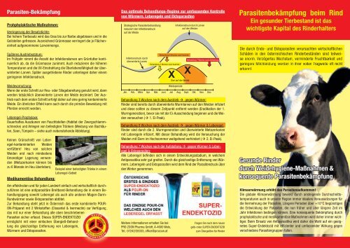 Parasitenbekämpfung beim Rind Ein gesunder Tierbestand ist das