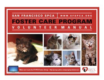 Spca Fostering Program