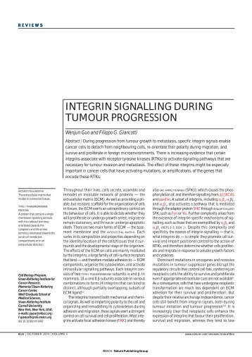 INTEGRIN SIGNALLING DURING TUMOUR PROGRESSION