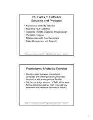 Vb. Sales of Software Services and Products Promotional Methods ...