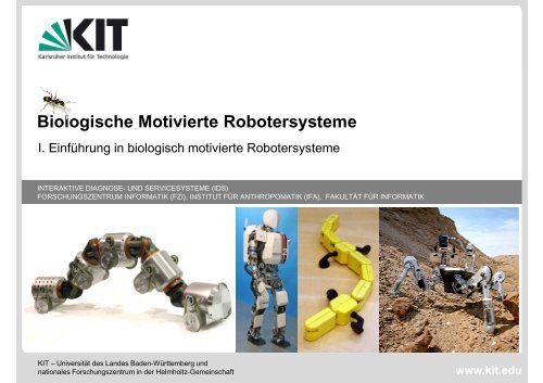 Biologisch Motivierte Robotersysteme - FZI