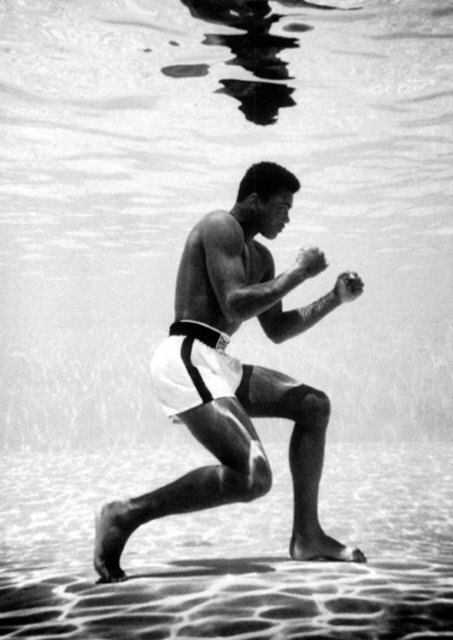 Das Herz Eines Boxers Ca 678 3 Kbyte