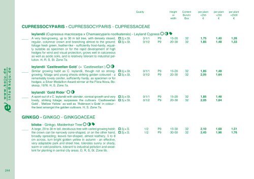 Catalog 2012/13 - Kordes-Jungpflanzen