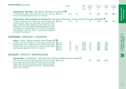 Catalog 2012/13 - Kordes-Jungpflanzen