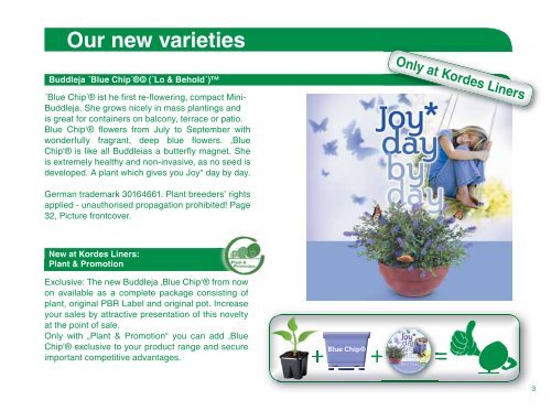 Catalog 2012/13 - Kordes-Jungpflanzen