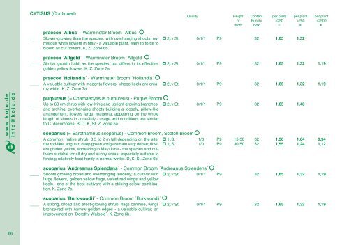 Catalog 2012/13 - Kordes-Jungpflanzen