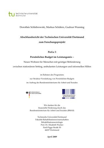 Abschlussbericht Projekt "Persönliches Budget im Leistungsmix"