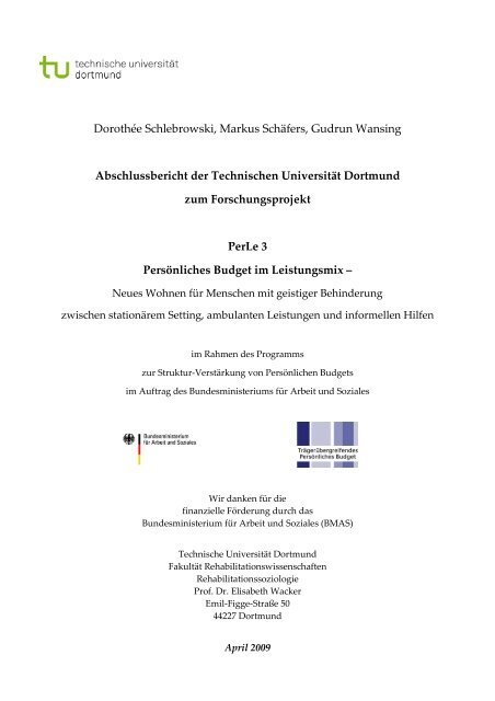 Abschlussbericht Projekt "Persönliches Budget im Leistungsmix"