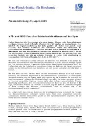 Pressemitteilung (PDF) - Max Planck Institute of Biochemistry