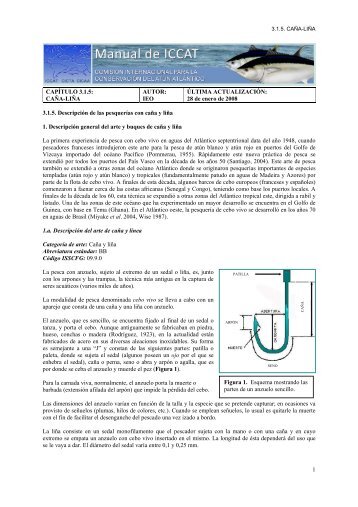 1 3.1.5. Descripción de las pesquerías con caña y liña 1 ... - Iccat