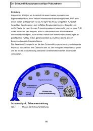 Schaumphysik, Schaumentstehung Der ... - FSK