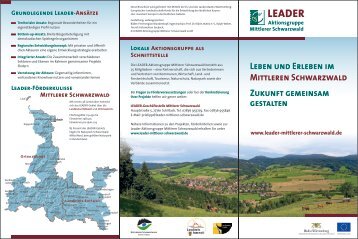 LEADER-Aktionsgebiet Mittlerer Schwarzwald - SUN-AREA