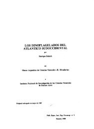 los dinoflagelados del atlantico sudoccidental - Algaebase