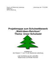 Projektmappe zum Schulwettbewerb „Wald-Ideen-Reichtum“ Thema ...