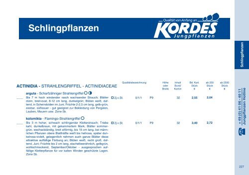 2009 - Kordes-Jungpflanzen