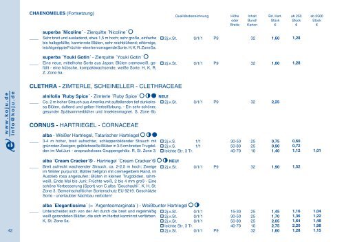 2009 - Kordes-Jungpflanzen