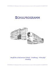 SCHULPROGRAMM - BSZ Zschopau