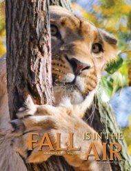 redesigned newsletter - Indianapolis Zoo