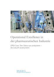 Operational Excellence in der pharmazeutischen ... - Schuh Group