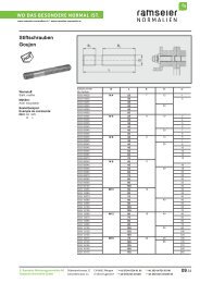 PDF 4 - Ramseier-Normalien