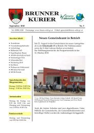 Datei herunterladen (981 KB) - .PDF - Gemeinde Brunn an der Wild