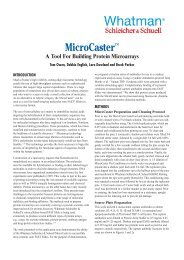 MicroCaster - A Tool for Building Protein Microarrays - Whatman