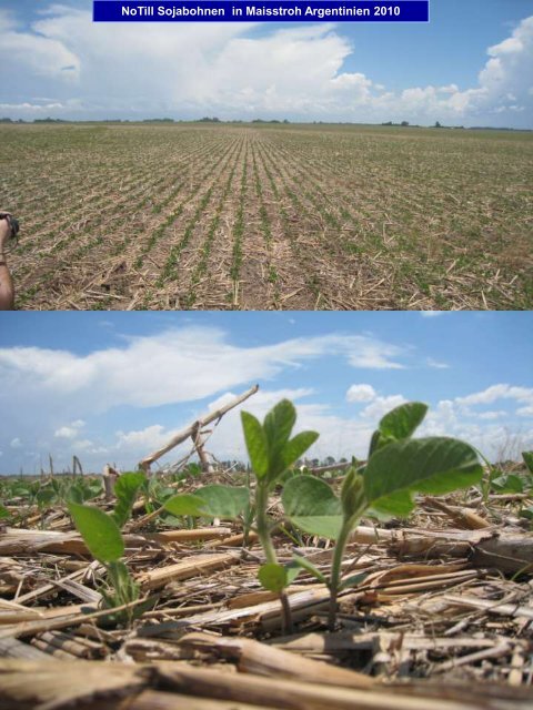 Bodenbearbeitung und CO2-Problematik - Land-Impulse