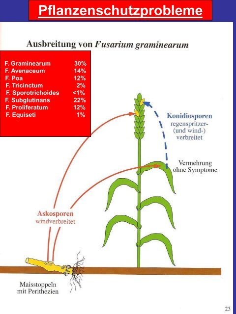 Bodenbearbeitung und CO2-Problematik - Land-Impulse