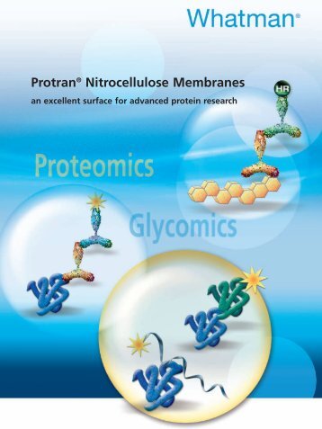 Protran® Nitrocellulose Membranes - Whatman