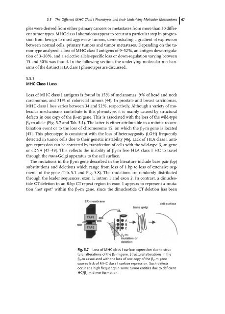 Cancer Immune Therapy Edited by G. Stuhler and P. Walden ...