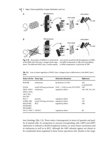 Cancer Immune Therapy Edited by G. Stuhler and P. Walden ...