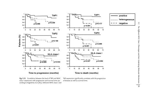 Cancer Immune Therapy Edited by G. Stuhler and P. Walden ...