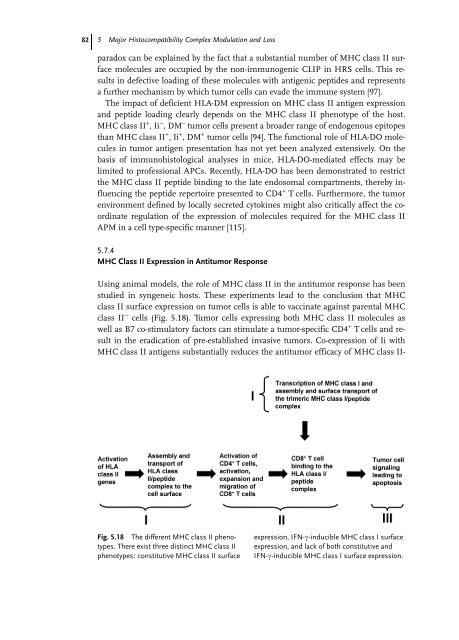 Cancer Immune Therapy Edited by G. Stuhler and P. Walden ...