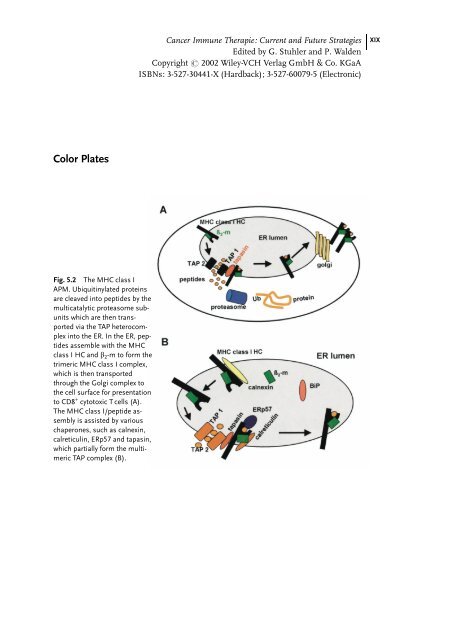 Cancer Immune Therapy Edited by G. Stuhler and P. Walden ...