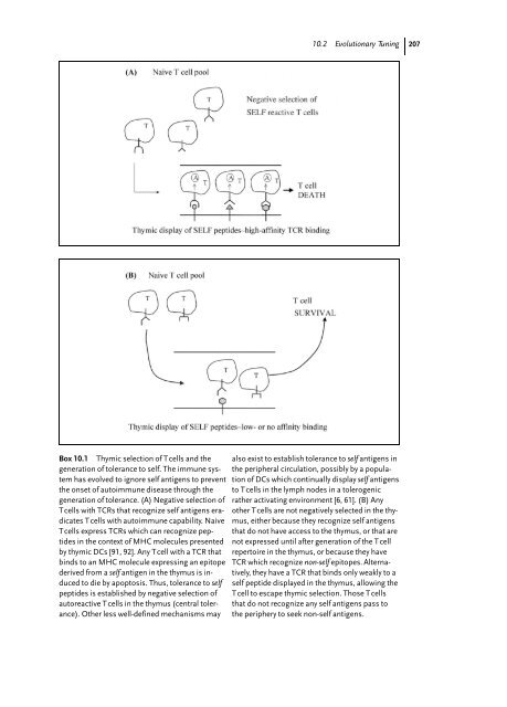 Cancer Immune Therapy Edited by G. Stuhler and P. Walden ...