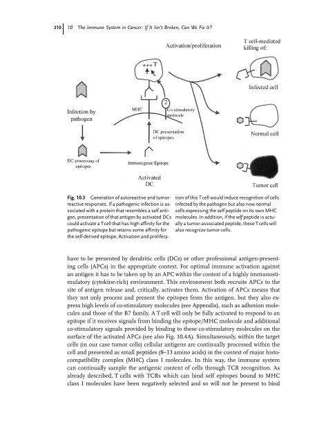 Cancer Immune Therapy Edited by G. Stuhler and P. Walden ...