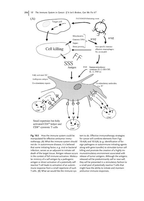 Cancer Immune Therapy Edited by G. Stuhler and P. Walden ...