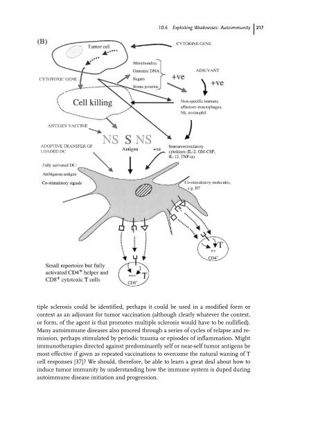 Cancer Immune Therapy Edited by G. Stuhler and P. Walden ...