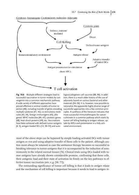 Cancer Immune Therapy Edited by G. Stuhler and P. Walden ...