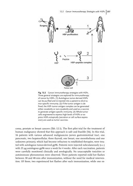 Cancer Immune Therapy Edited by G. Stuhler and P. Walden ...